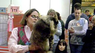 Settiocielo Raggio di Luna in Klagenfurt , Final with judge Pam Delabar.avi