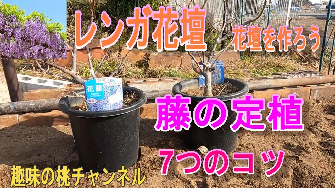 Brick Flower Bed] Let's make a flower bed. 7 tips for planting