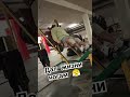 #гак #приседания #присед #legday #спорт #2025 #приседание #деньног #motivation #май #качалка #shorts