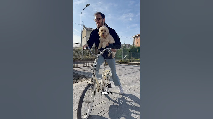 Il Postino ✉️ #divertente #cane #canedivertente #dog #funny
