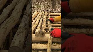 DUGOUT IN THE FOREST #building #bushcraft #dugout #survival #forest