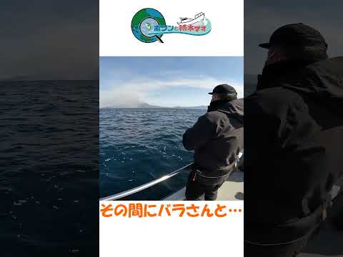 ドテラのタイラバはバーチカルと違う？ #釣り #fishing #タイラバ
