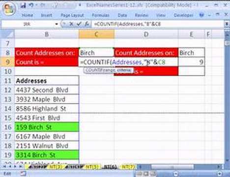 Excel Name Trick #6: Names COUNTIF & wildcards