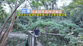 臺東知本國家森林遊樂區 散步在中低海拔森林裡大口呼吸新鮮空氣，還有消暑的流水冷泉泡腳消暑