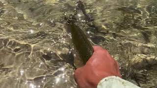 Middle fork of Boise River