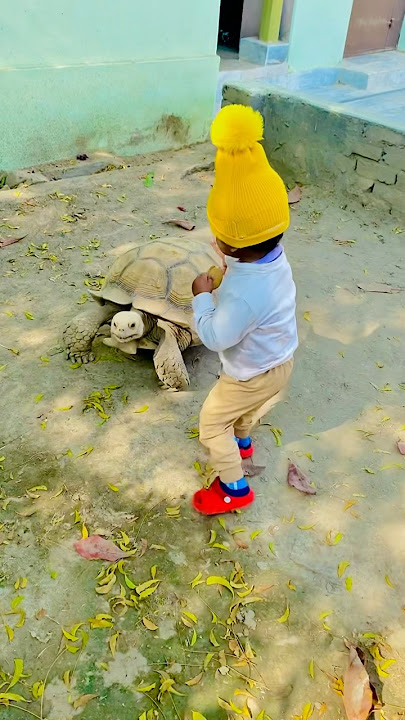 Ager Reels Dakhty Dakhty #shorts #ytshorts #trending #pets #viral #viralshorts #petlover #cute