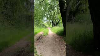 «Зелений» веломаршрут Половки - Лазурний - Юрівка - Огнівка🚲🌳🌤