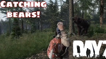 #dayz                                            Trying to catch a bear with a experimental egg