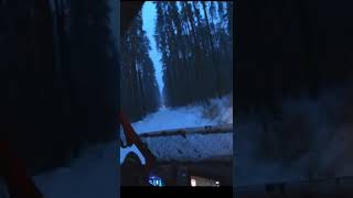 Segway Villain & Fugleman