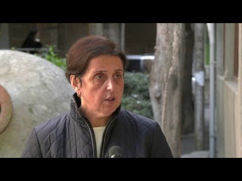 არ გამოვრიცხავ,  გაგდების მერე სოსო გოგაშვილი დააკავონ კიდეც. - ელისო კილაძე