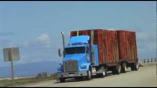 Trucks - Central California - USA - 2012