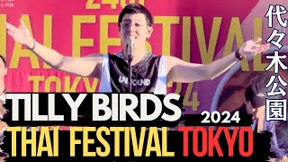 TILLY BIRDS  Thai Festival Tokyo 2024 zเทศกาลไทยในโตเกียว