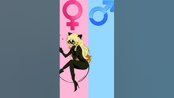 Miraculous hero