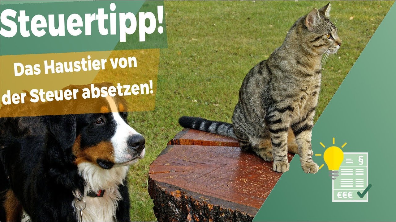 Was Von Steuer Absetzen Was Von Steuer Absetzen