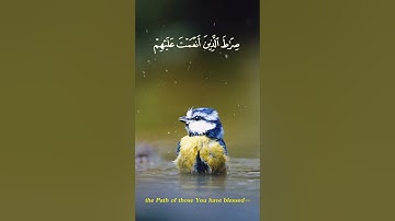 سورة الفاتحة الکتاب من القرآن الکریم بصوت محمد صدیق منشاوی Surat al-Fatiha with Manshawi voice