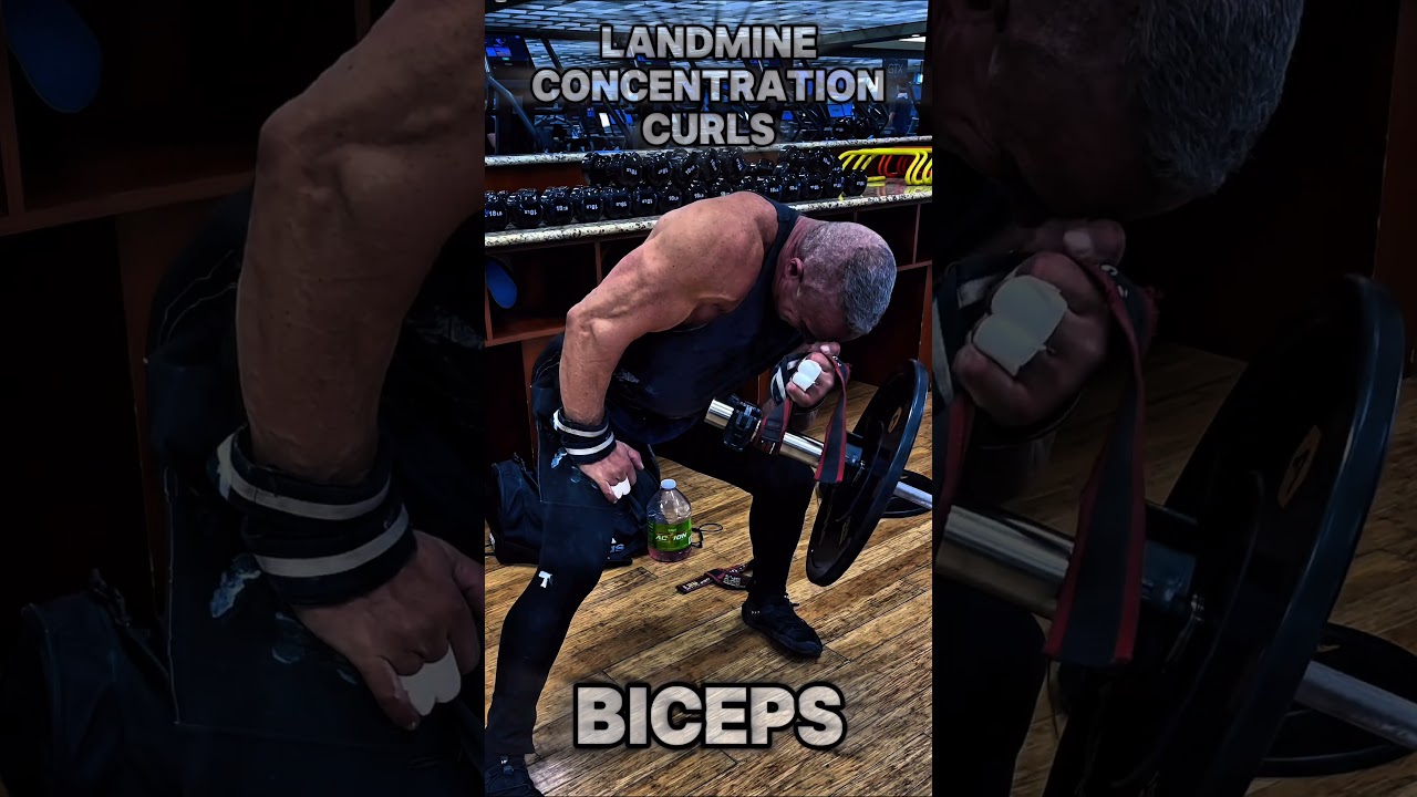 LANDMINE CONCENTRATION CURLS #BICEPS #CURLS #workout #motivation #workouttips