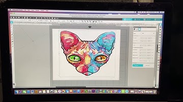 (MAC USERS) SAWGRASS SG 400  PRINT FROM VPM USING MAC OS