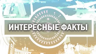 Рубрика «Интересные факты»: «Цена Победы»