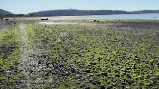 @trinamason spend time with me & walk with me on Portage Island Lummi Nation WA April 17 2021 5:10pm