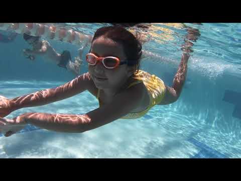 Barracuda Fun