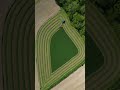 Ot Biçme 🌿 #farming #drone #dronevideo #farmer #farm #farmlife