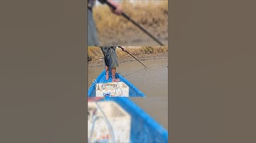 Fishing fish _ Gặp phải kích thủ chuyên kích cá vuông tôm #kichca #tomcangxanh #xietca