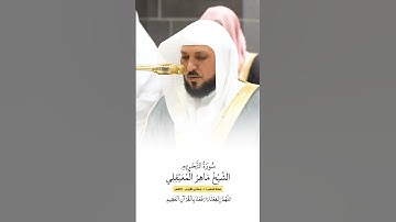 سورة التحريم | الشيخ #ماهر_المعيقلي