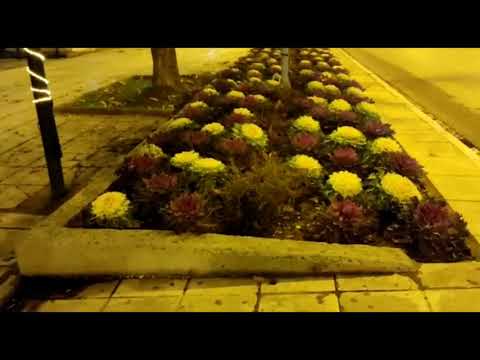 على جسر اللوزية فيروز فيروزيات الصباح