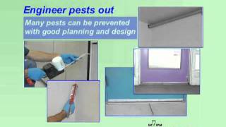 IPM in Schools - What is IPM and Why Use It?