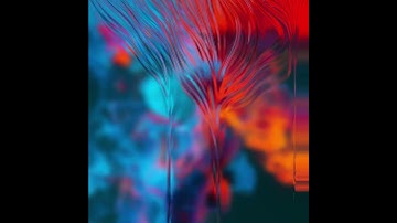 Sharel - Motion Design 🔮🍊🐬🪺🪸🌸 #blackpink