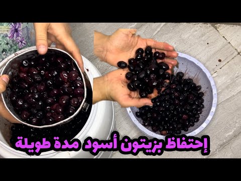 كيفية الاحتفاظ بالزيتون الأسود لسنوات مع أفضل طريقة لتحلية الزيتون 2024