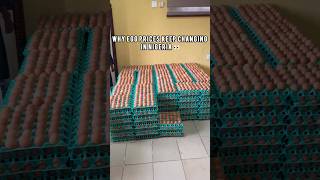 As someone in the egg business, let me tell you the truth… Wealth