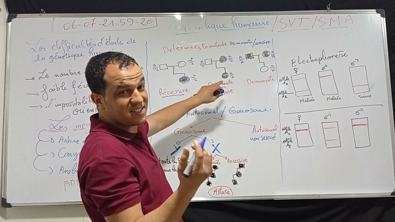 😍Les astuces SVT 😍 Génétique humaine👍