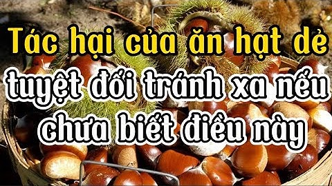 CẢNH BÁO: Tác hại của ăn HẠT DẺ tuyệt đối tránh xa nếu chưa biết điều này │ Sức khoẻ và Cuộc sống