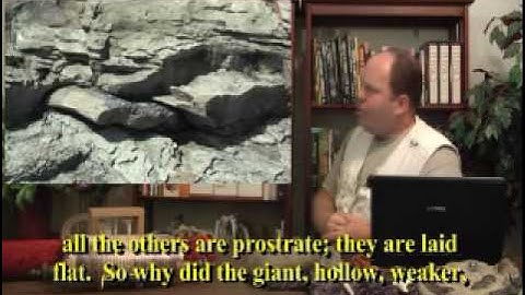 Complete Creation, Part 3