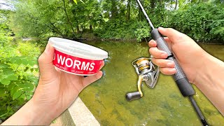 Creek Fishing w/ WORMS for Anything That Bites!