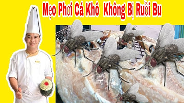 Mẹo Phơi Cá Khô Không Bị Ruồi Bu   Cực Kỳ Hiệu Quả - Cách Phơi Cá Khô Ruồi Không Dám Bu Vào