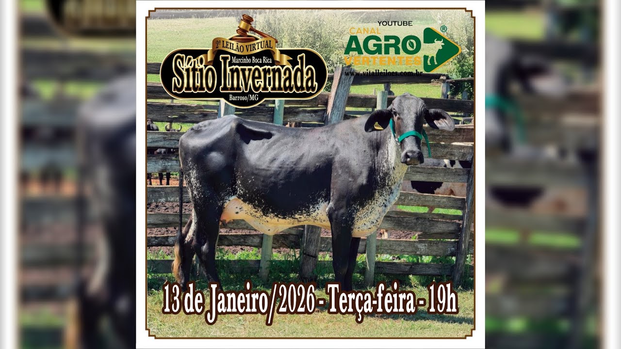2º LEILÃO VIRTUAL FAZENDA SÍTIO INVERNADA - MARCINHO BOCA RICA - 13/01/2026