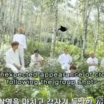 Bts Jin And A Crow Are Relations