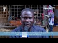Chicken, Turkey, Guinea Fowl: Why they cost more in December