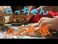 てっちゃん、100均の恐竜発掘キットで恐竜を発掘する!