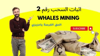 اثبات السحب الثانى من موقع Whales mining