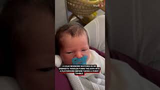 One Baby Sleeps While the Toddler Goes FULL CHAOS 😂