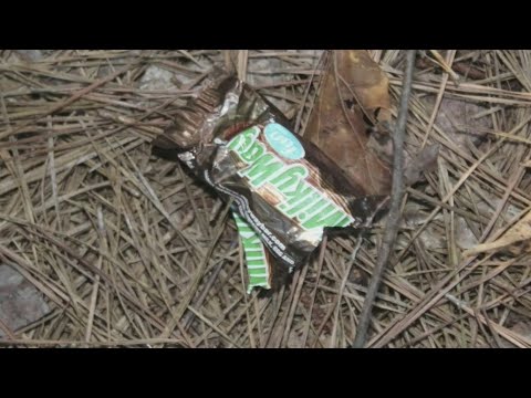 Trail of candy wrappers leads police to burglary suspect