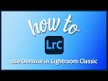 How to use the new AI Denoise filter in Lightroom Classic