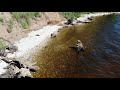Ласточки береговушки копают себе гнёзда под обрывом / Самарская область