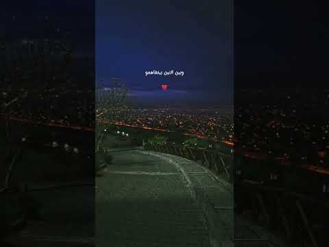 غريب الحب مين فاهمة أغاني رامي صبري الحب