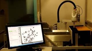 Robotic Sorting Machine