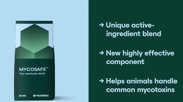 MYCOSAFE: A New Approach to Mycotoxin Risk Management