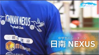 【アオハル】新生 バレーボールチーム🏐日南ネクサスをご紹介!